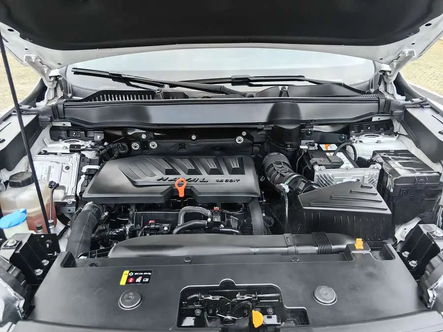 Haval H6 2021 Model Third Generation 1.5T Automatic Two-Wheel Drive Max