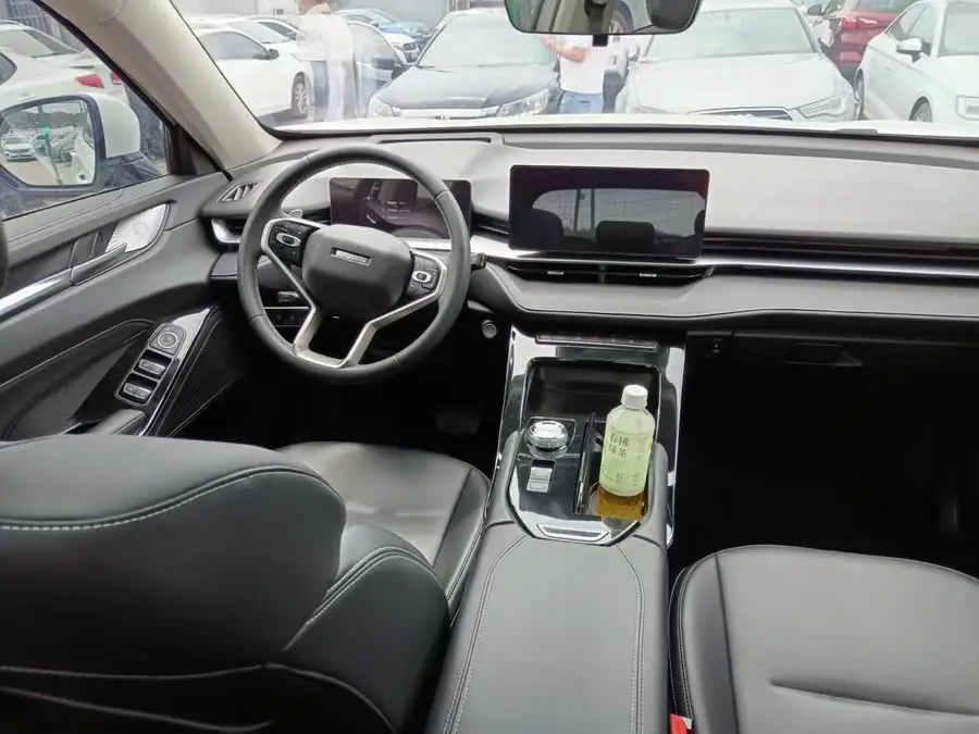 Haval H6 2021 Model Third Generation 1.5T Automatic Two-Wheel Drive Pro