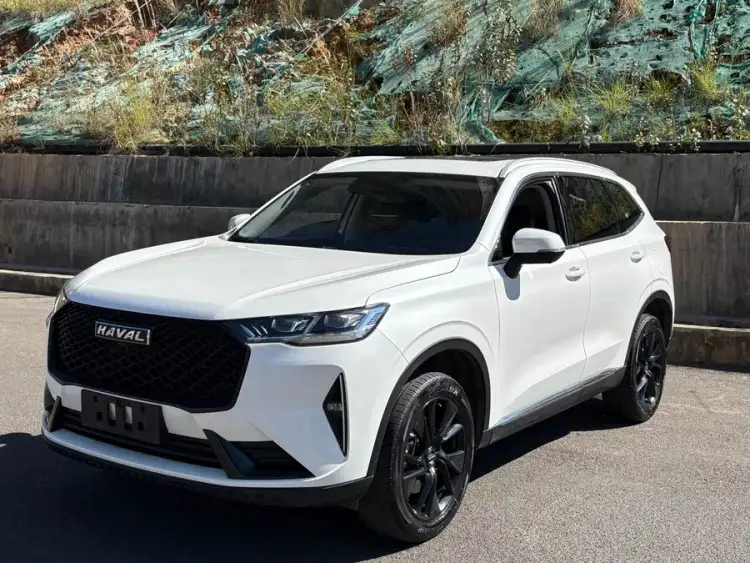 Haval H6 2021 Model Third Generation 2.0T Automatic Two-Wheel Drive Max