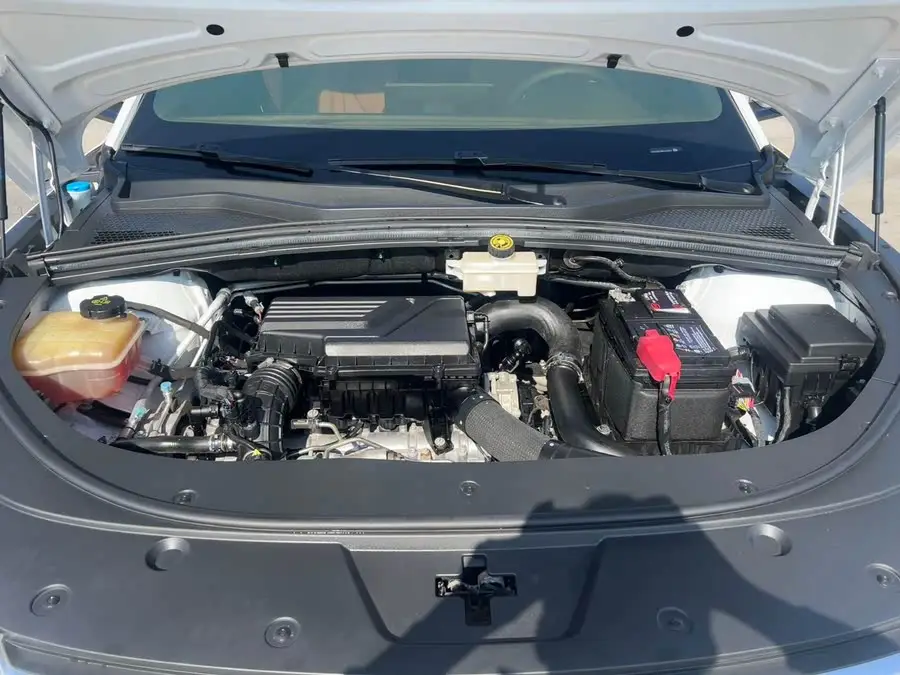 Song PLUS 2020 1.5T Automatic Flagship