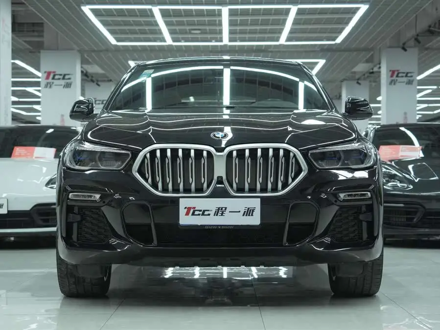 BMW X6 2021 xDrive40i M Sport Package