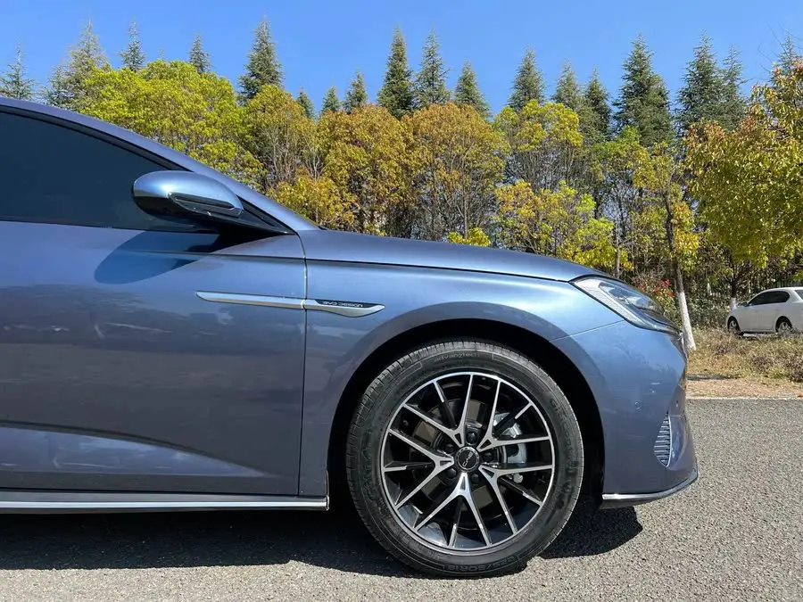 Sealion 2023 DM-i 1.5T 121km Flagship