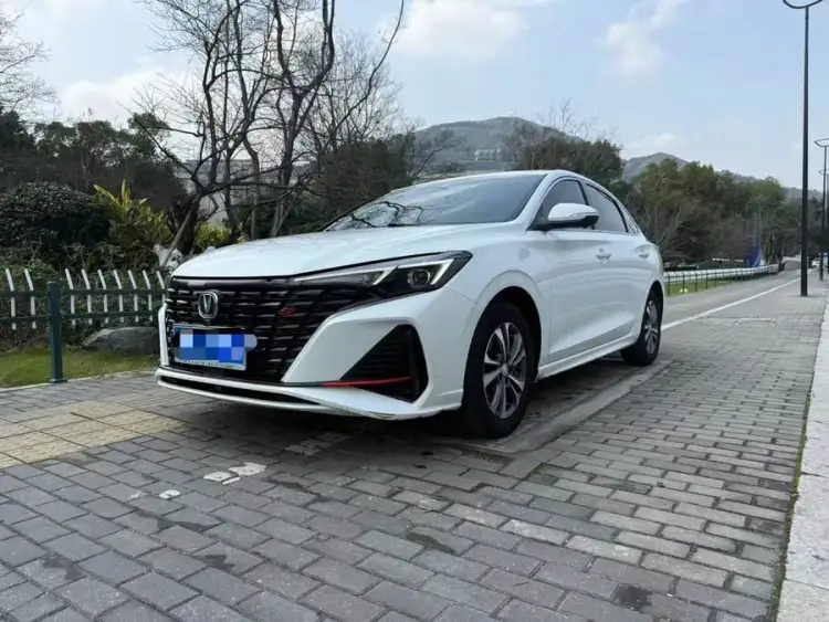 2023 Yidong Changxiang Version PLUS Blue Whale NE 1.4T GDI DCT Premium Version