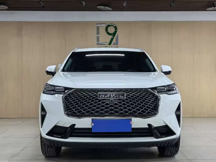 Haval H6 2022 Model Third Generation 1.5T Automatic Two-Wheel Drive Pro
