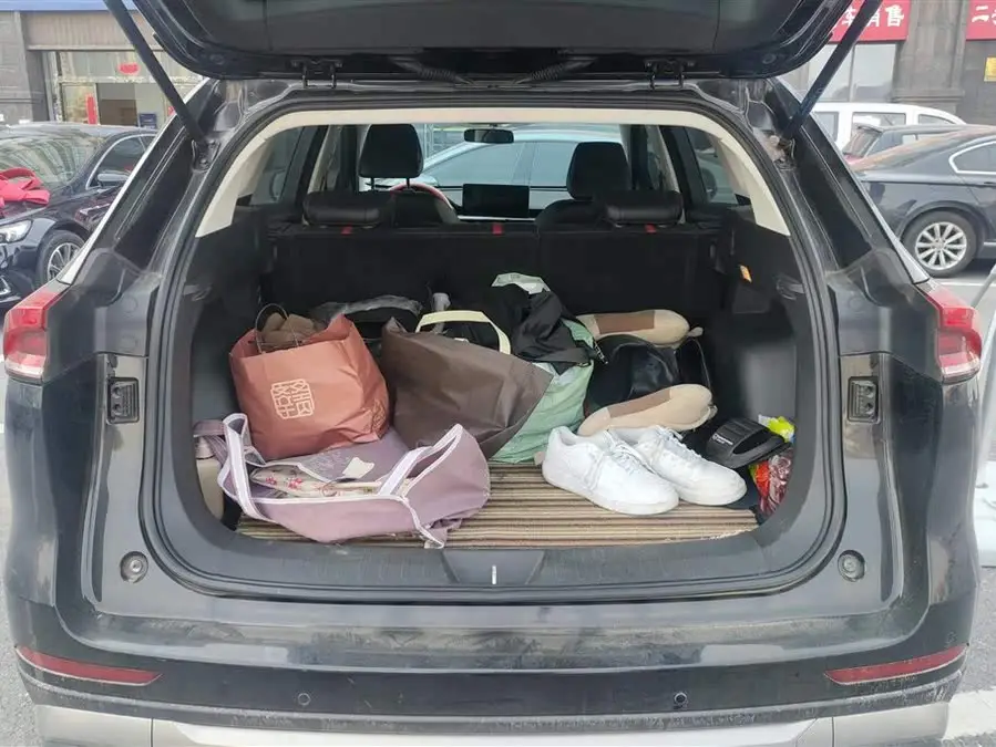 Haval H6 2021 National Trend Edition 1.5T Automatic Urban Version