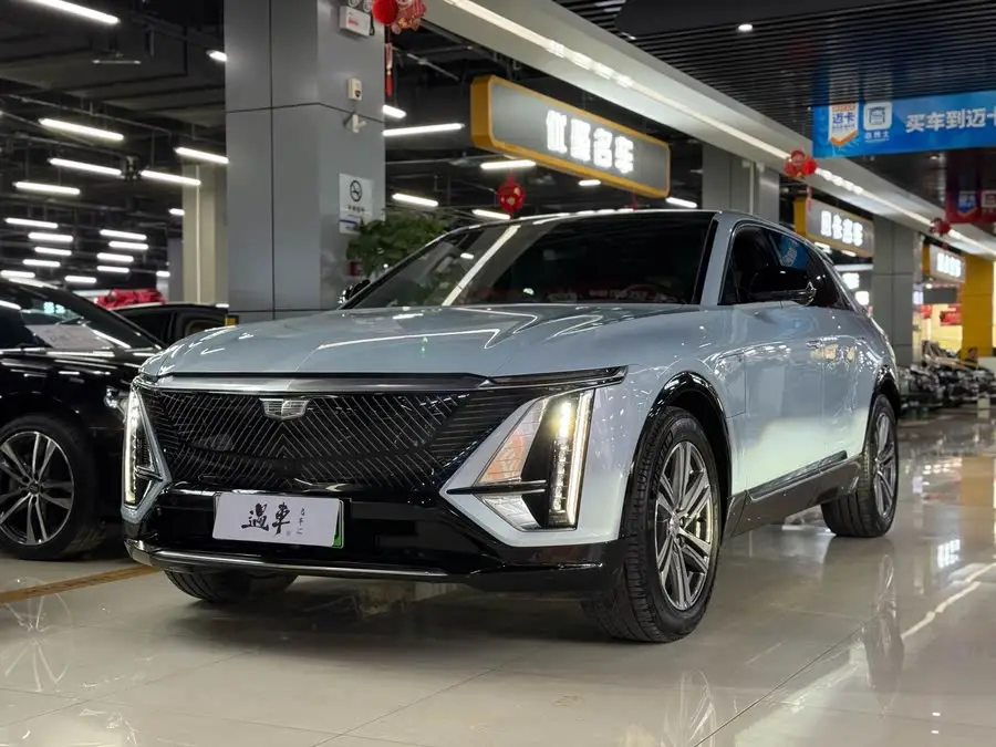 IQ Ruilong 2022 Rear-Wheel Drive Long Range Premium Edition