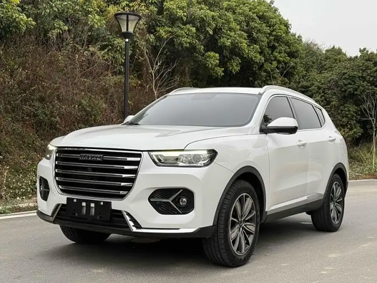 Haval H6 2020 1.5GDIT Automatic Platinum Super Luxury Version