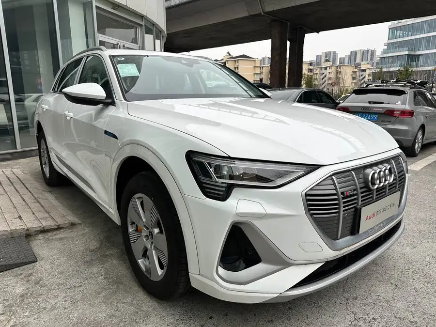Audi e-tron 2021 50 quattro Luxury