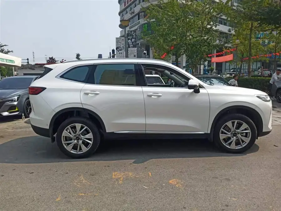 Haval H6 2021 1.5T Automatic Champion Edition