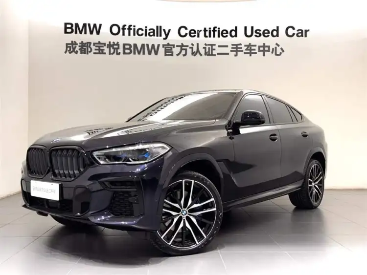 BMW X6 2022 xDrive40i Luxury M Sport Package