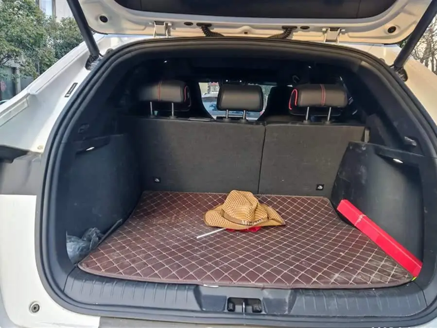 Song PLUS 2020 1.5T Automatic Flagship Model