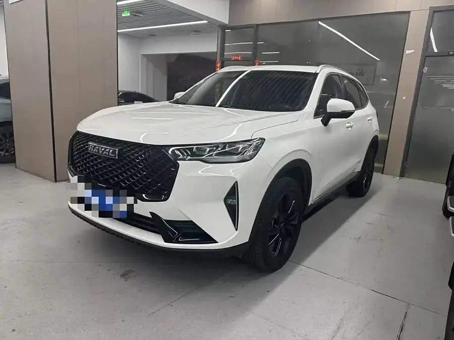 Haval H6 2021 Model Third Generation 2.0T Automatic Two-Wheel Drive Max