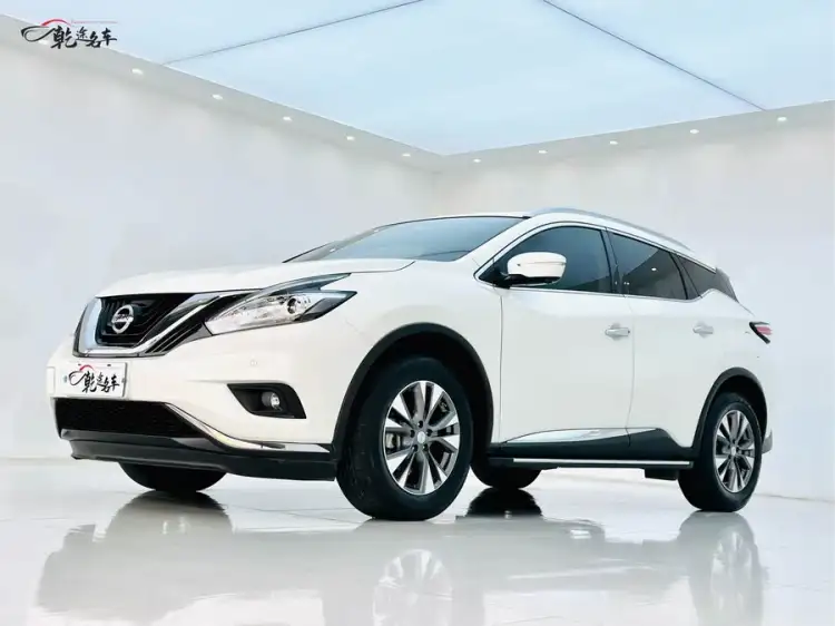 Loulan 2019 2.5L XL Two-Wheel Drive Intelligent Luxury Version National VI