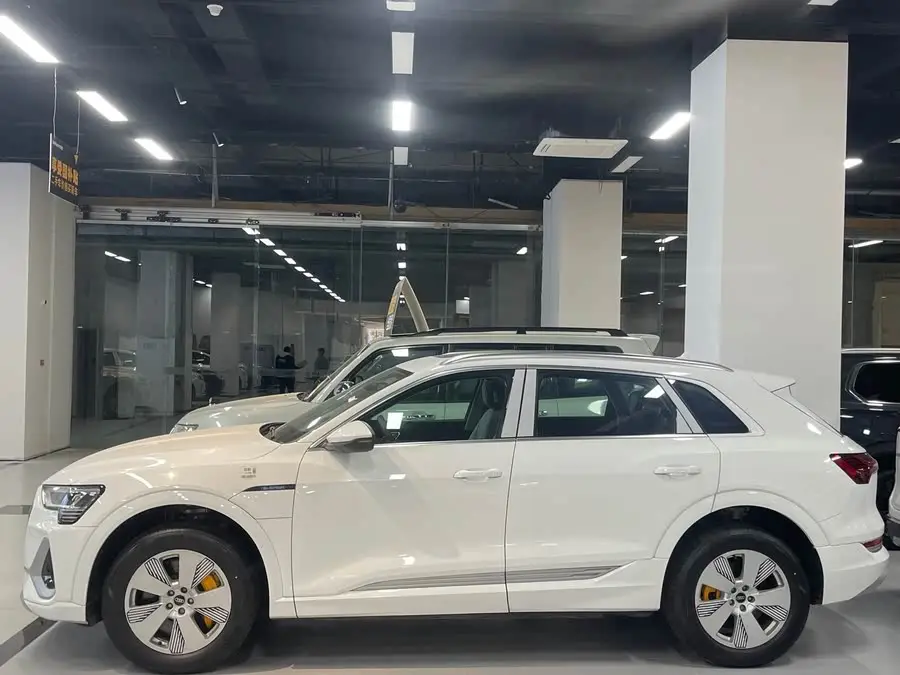 Audi e-tron 2021 50 quattro Luxury