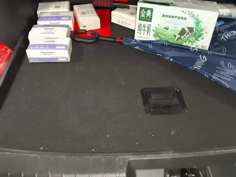 Song PLUS 2020 1.5T Automatic Flagship PLUS