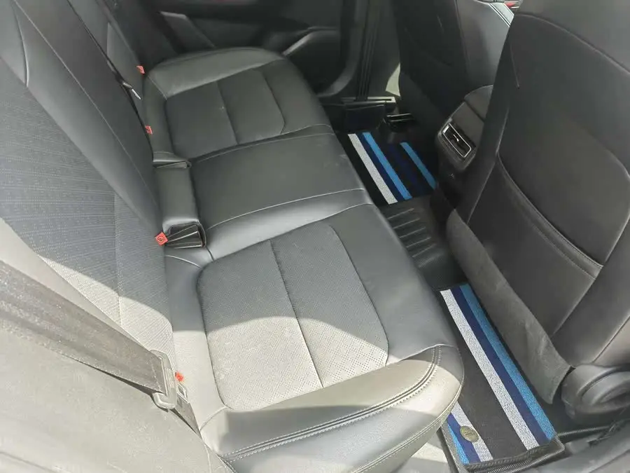 Yidong 2020 PLUS Blue Whale NE 1.4T GDI DCT Deluxe Edition