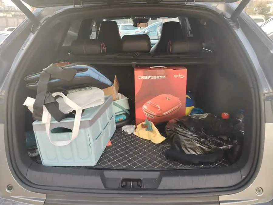 Song PLUS 2020 1.5T Automatic Flagship