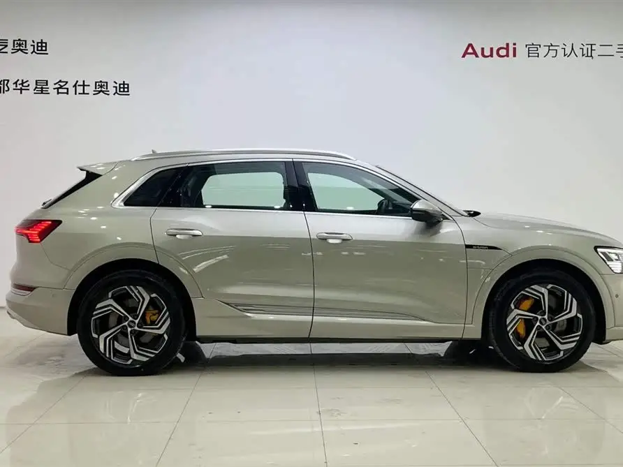 Audi e-tron 2021 50 quattro Selection