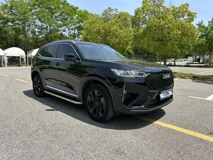 Haval H6 2021 Model Third Generation 2.0T Automatic Two-Wheel Drive Max