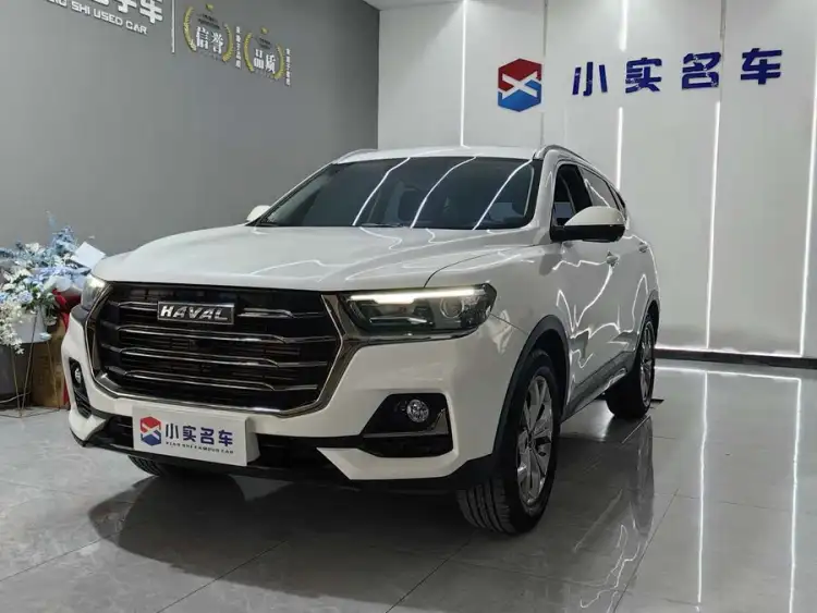 Haval H6 2021 National Trend Edition 1.5T Automatic Champion Version