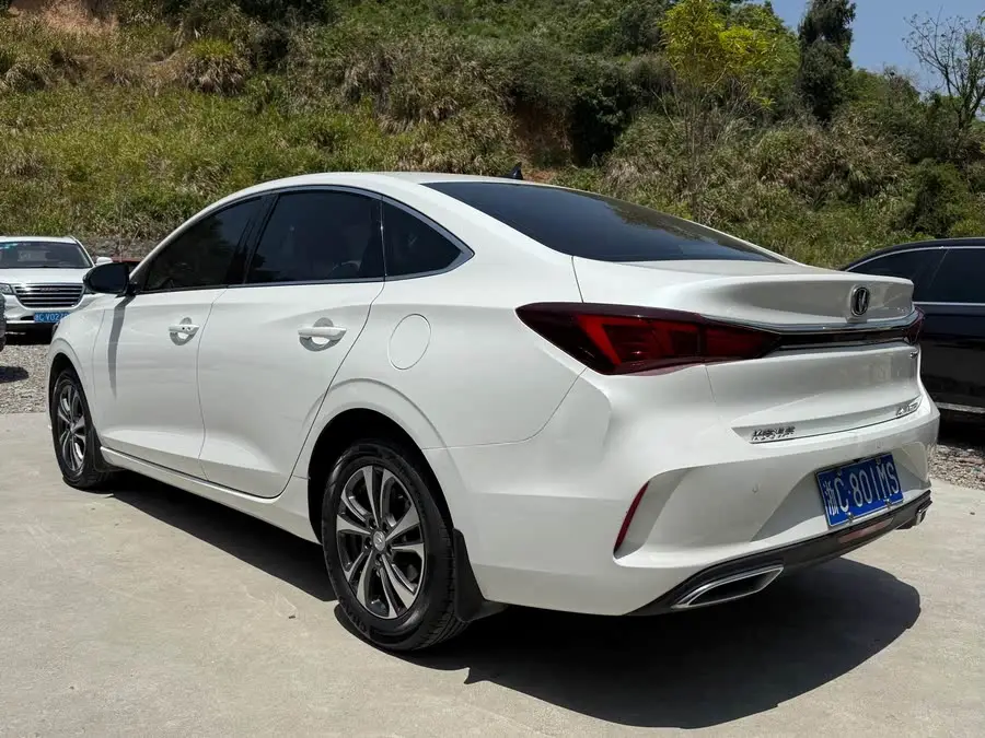 Yidong 2022 PLUS Blue Whale NE 1.4T GDI DCT Premium Edition