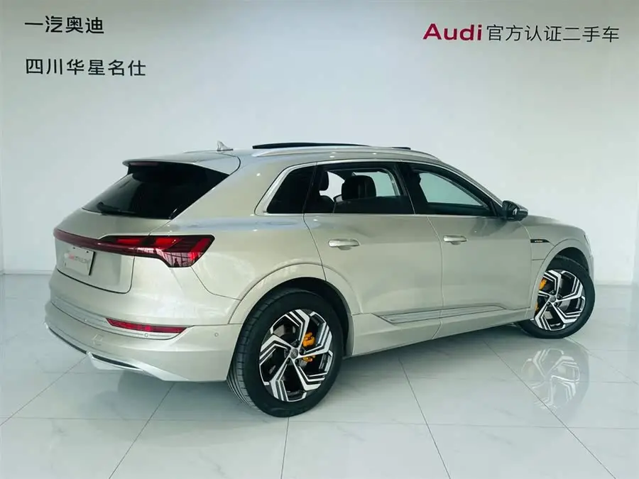 Audi e-tron 2021 50 quattro Selection