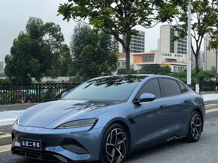 Sea Lion 2022 Model 700km Long Range Rear-Wheel Drive Version