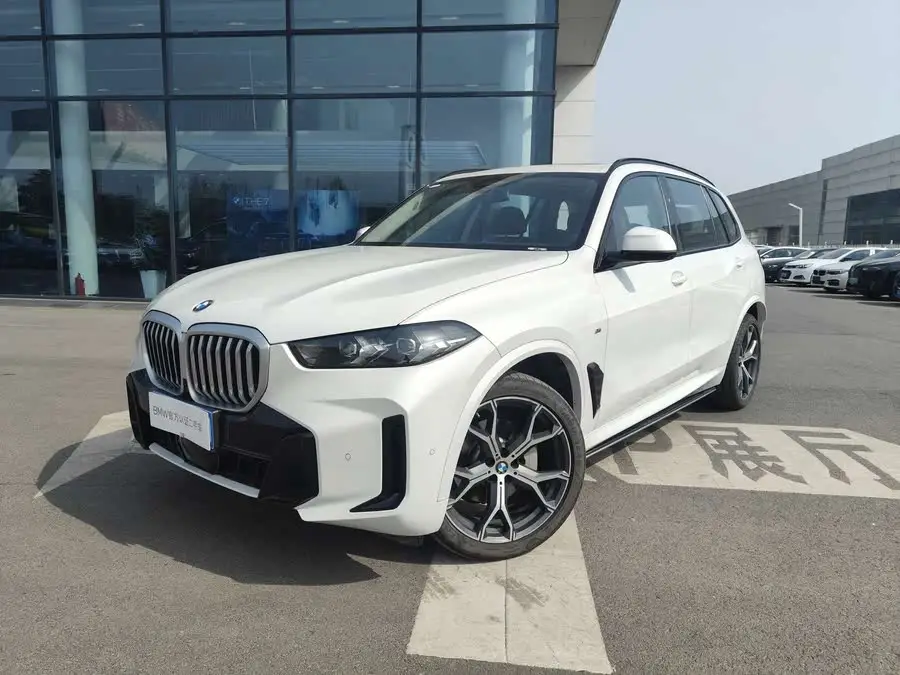 BMW X5 2023 xDrive 30Li M Sport Night Package