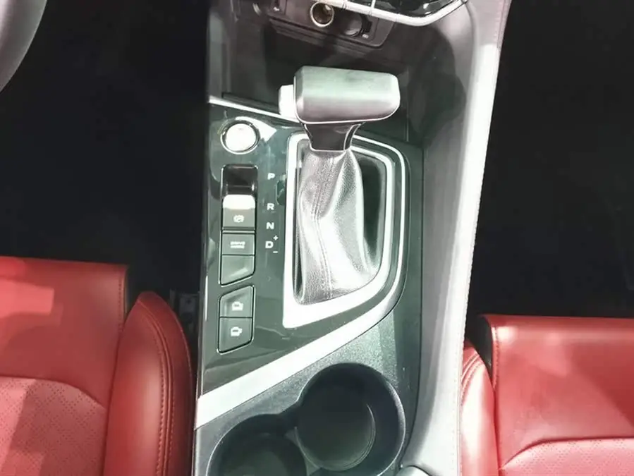 Yidong 2020 Plus Blue Whale NE 1.4T GDI DCT Flagship Model