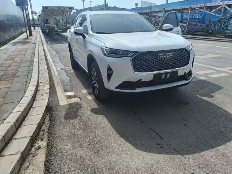 Haval H6 2023 National Trend Edition 1.5T Automatic Urban Version