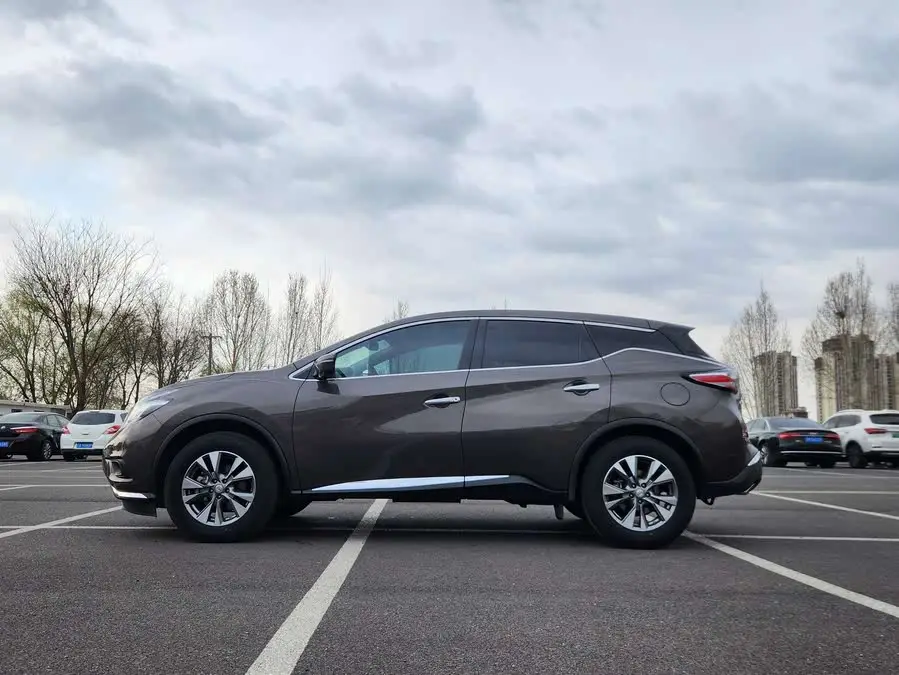 LuoLan 2019 2.5L XL Two-Wheel Drive Intelligent Luxury Version National VI