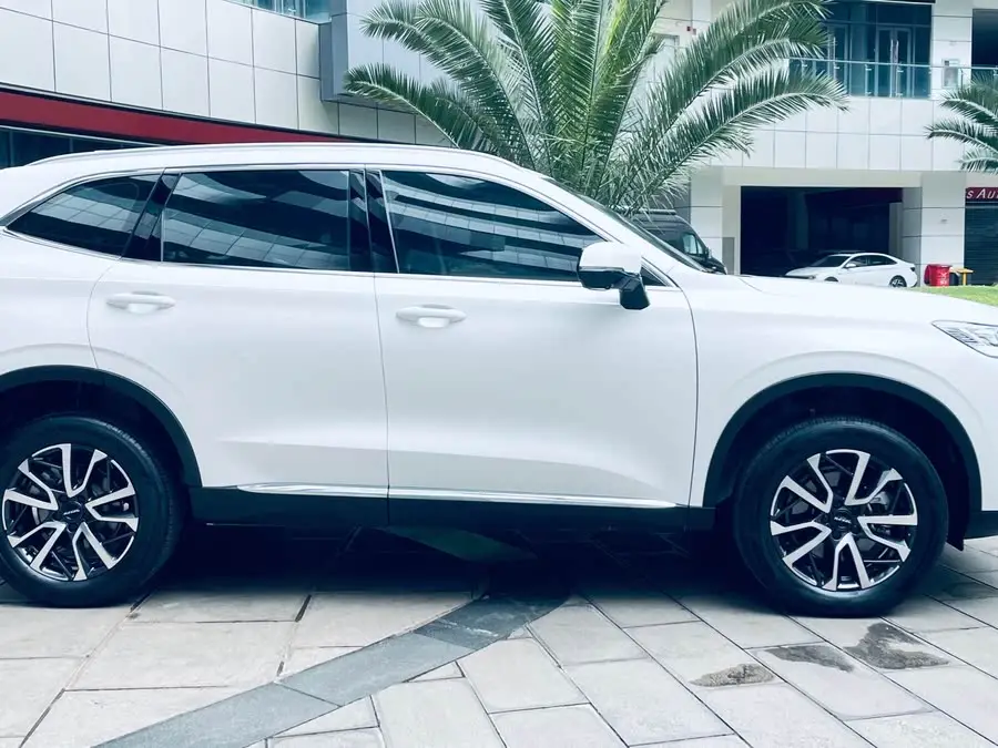 هافال H6 2021 الطراز الثالث 1.5T أوتوماتيكي دفع ثنائي برو