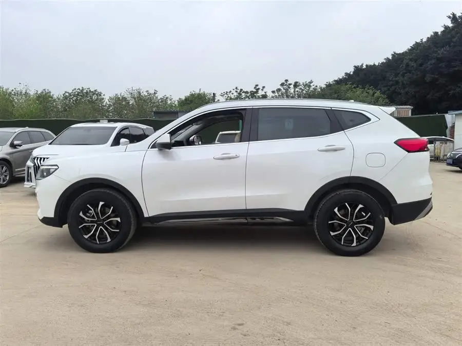 Haval H6 2021 National Trend Edition 1.5T Automatic Urban Version