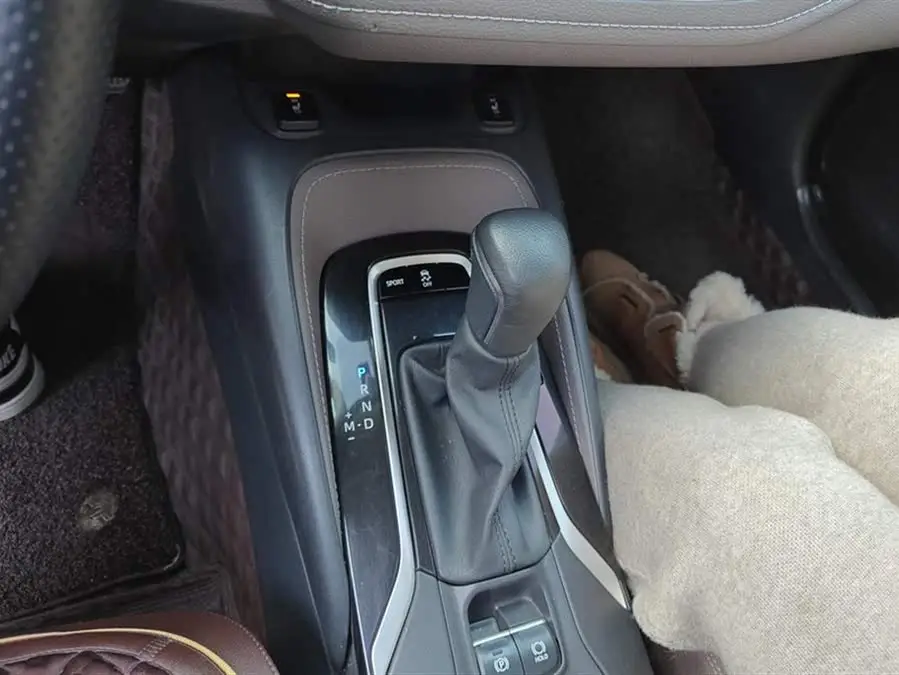 أسد آسيا 2021 نسخة 2.0L الرائدة