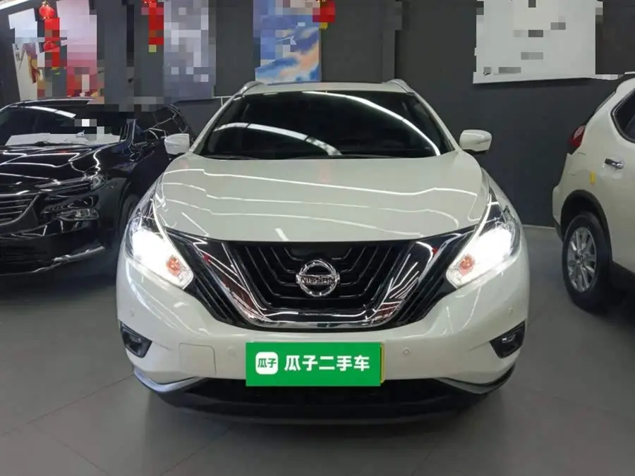 LuoLan 2021 2.5L XL Two-Wheel Drive Intelligent Luxury Edition