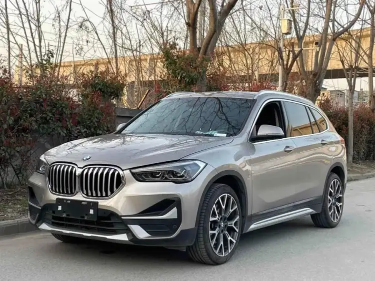 BMW X1 2020 xDrive25Li Luxury Edition