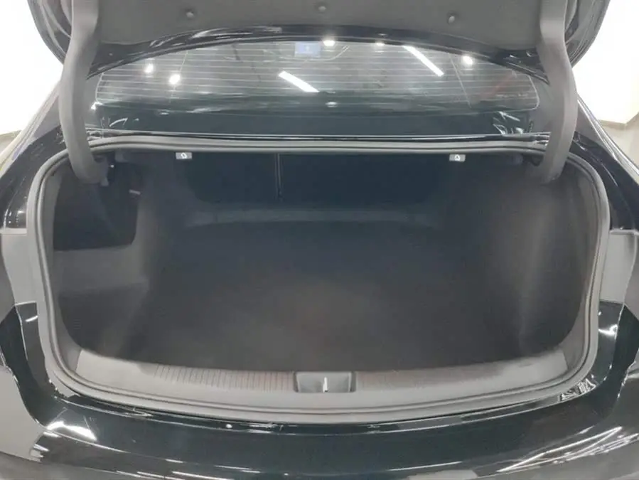 بيوك ريجال 2024 28T نسخة الاستمتاع