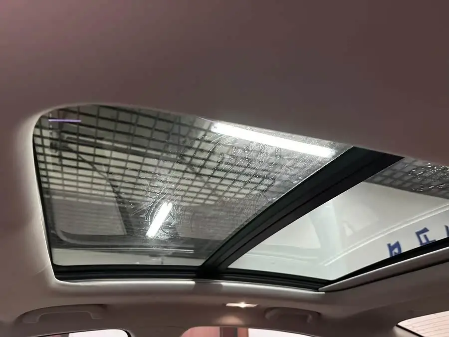 Yidong 2022 Plus Blue Whale NE 1.4T GDI DCT Flagship Version