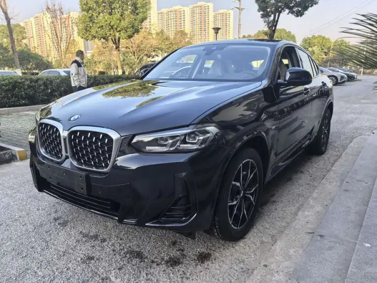 BMW X4 2022 xDrive 25i M Sport Package