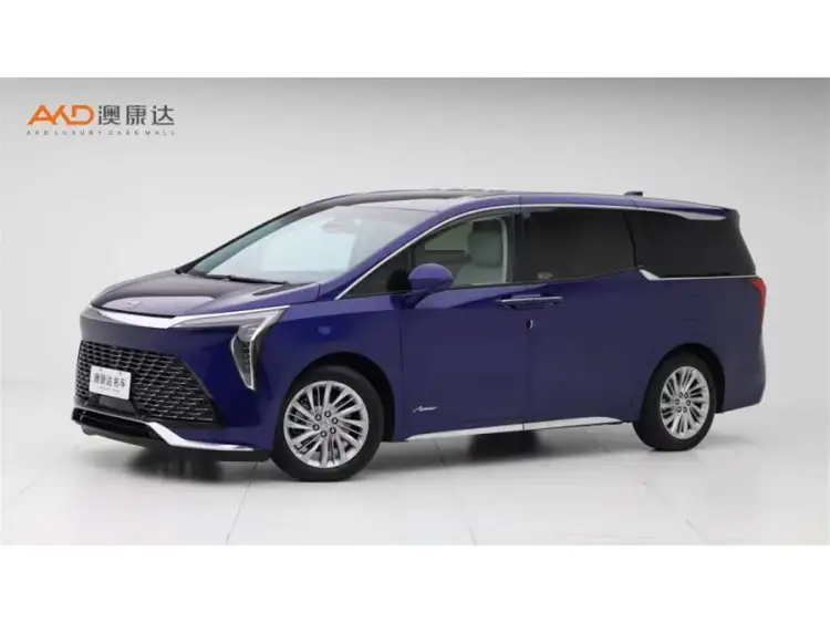 Century 2023 2.0T Six-Seater Yunshe Edition