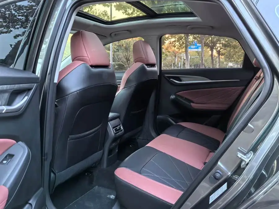 Yidong 2022 PLUS Blue Whale NE 1.4T GDI DCT Flagship Version