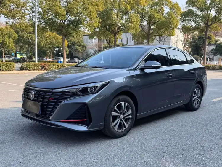 Yidong 2023 Model Changxiang Version PLUS Blue Whale NE 1.4T GDI DCT Premium Edition