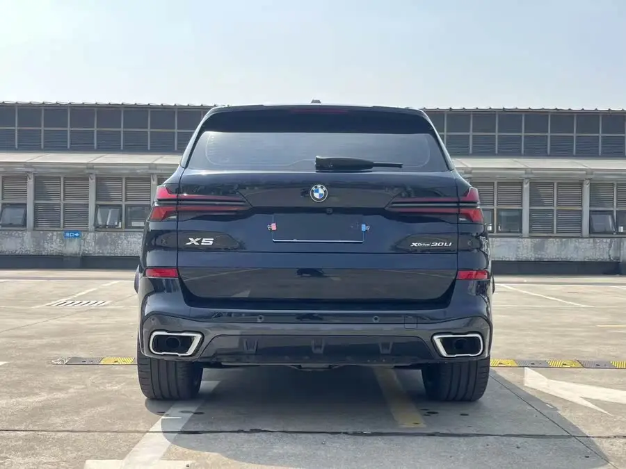 BMW X5 2023 xDrive 30Li M Sport Blackout Package