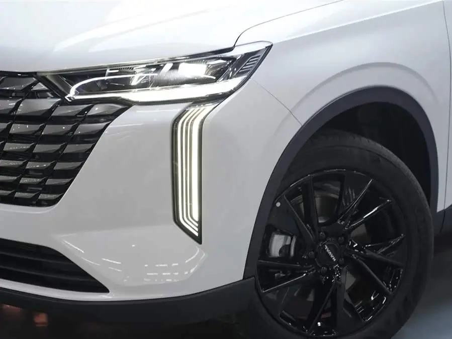 Haval H6 2024 1.5T Two-Wheel Drive Max