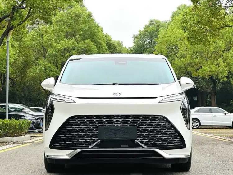 2023 Century 2.0T Six-seater Yunshi Edition