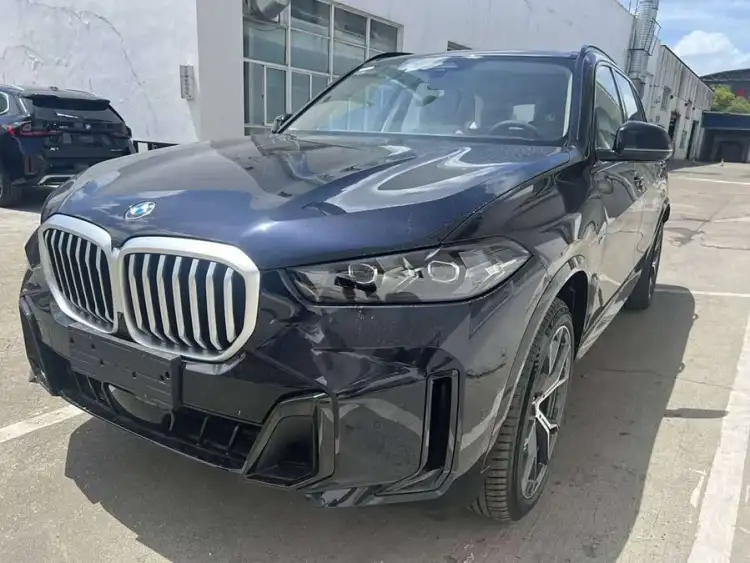 BMW X5 2023 xDrive 30Li M Sport Package