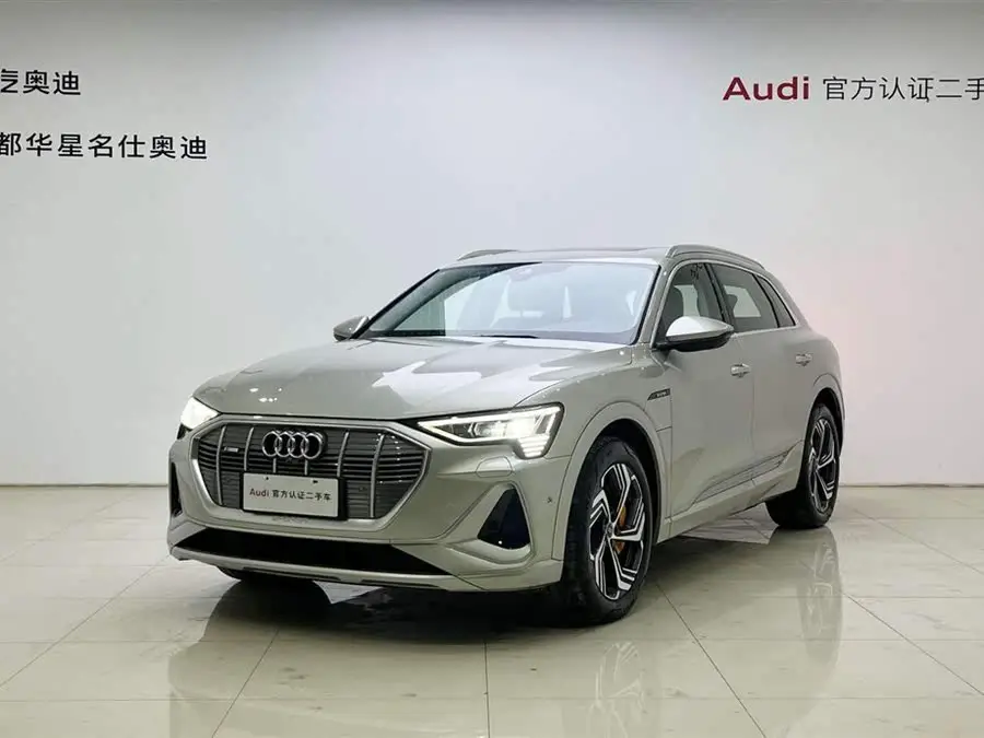 Audi e-tron 2021 50 quattro Selection