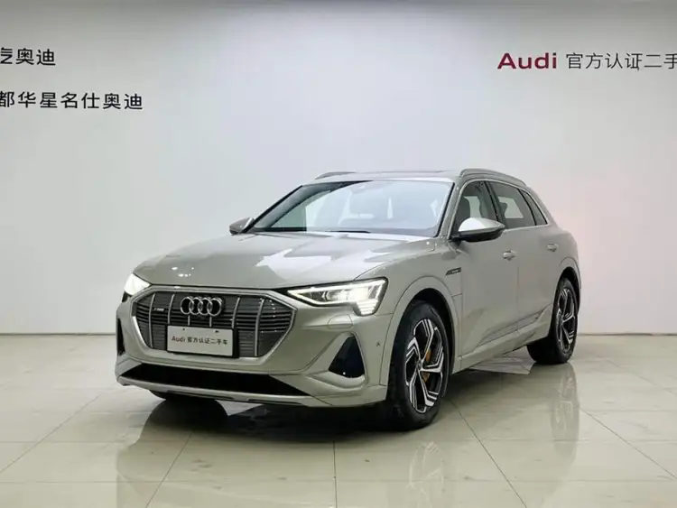Audi e-tron 2021 50 quattro Selection