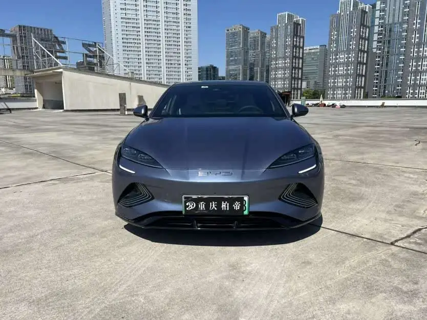 Beaver 2022 Model 700km Long Range Rear-Wheel Drive Version