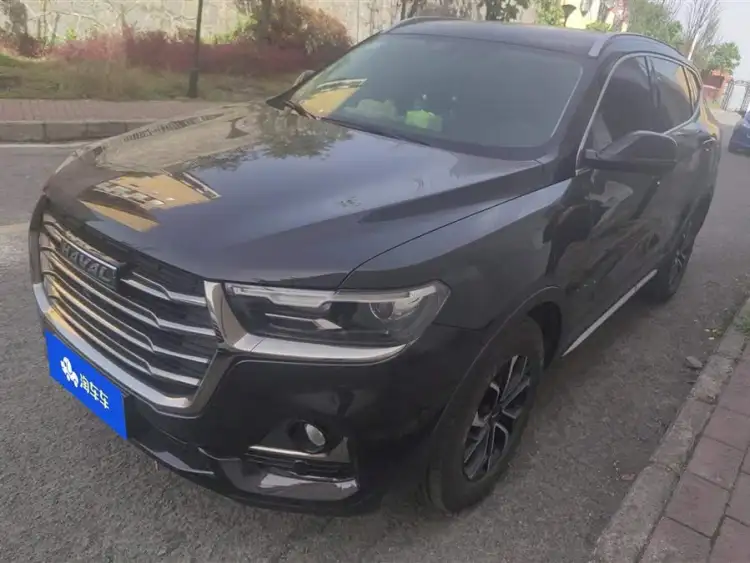 Haval H6 2021 National Trend Edition 1.5T Automatic Urban Version